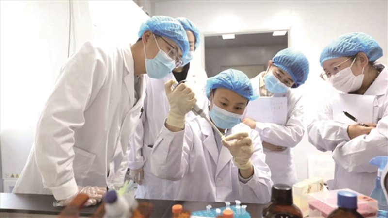 如何准备一份出色的博士生申请?